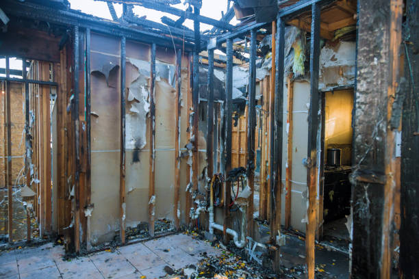 Professional Fire Damage Removal technician working in Line Lexington, PA